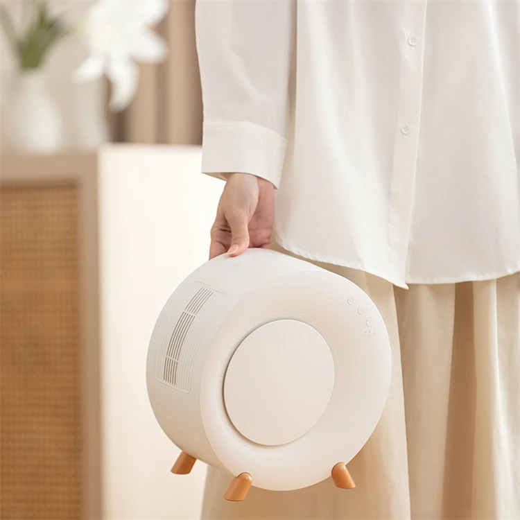 Multifunctional Dehumidifier